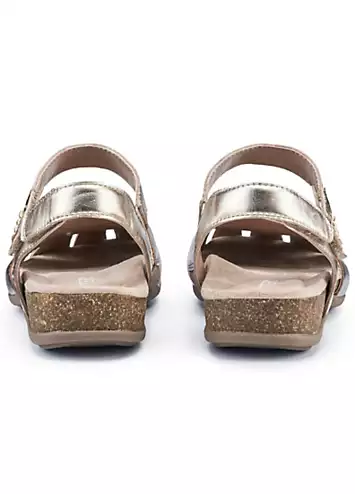 Denali Metallic Multi Women’s Sandals by Hotter | Look Again