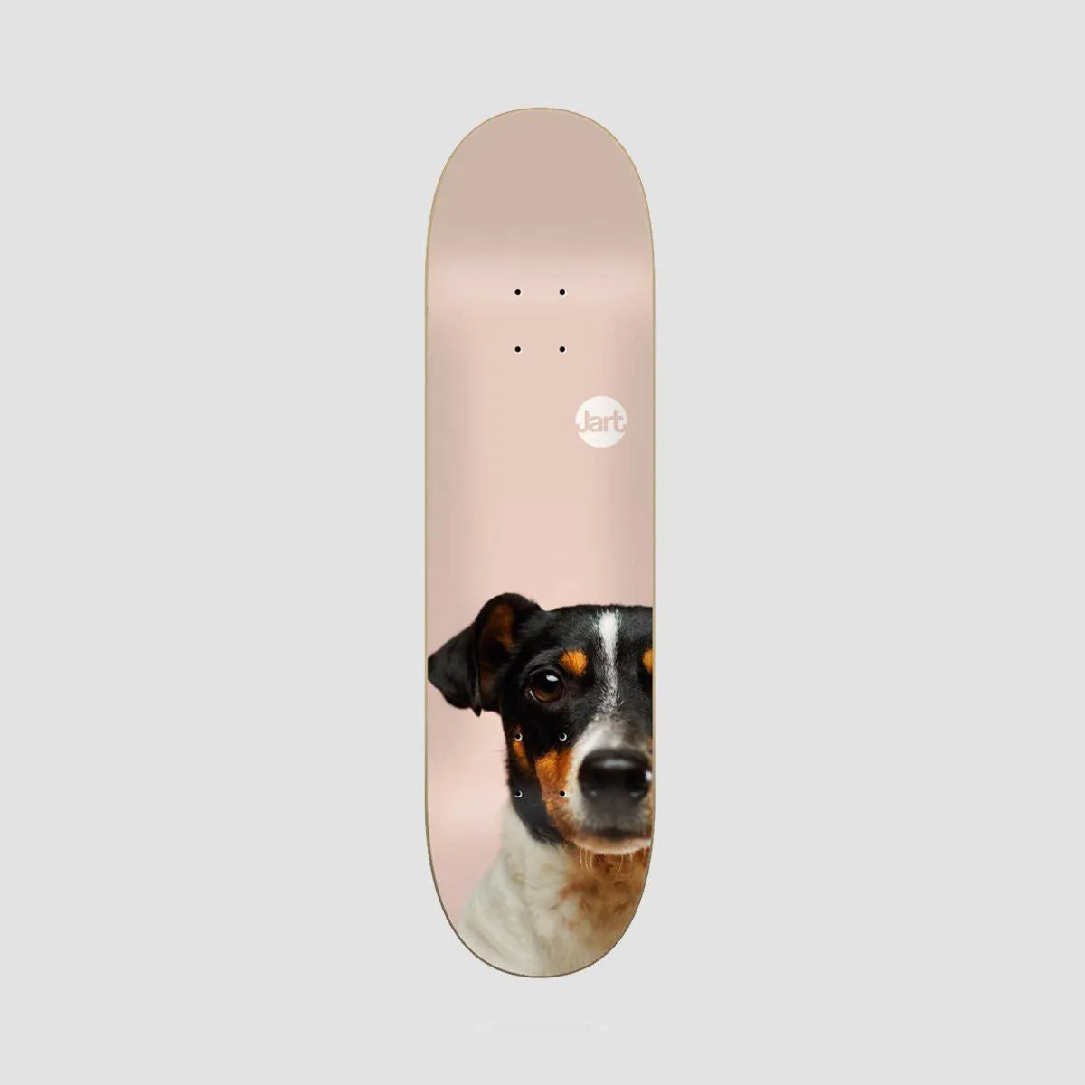 Jart Friends LC Skateboard Deck - 8.125