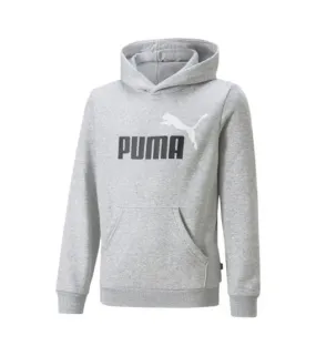 Puma Essential 2 Kids Sweatshirt 586987-04